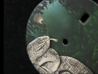 Без имени-7-01-22-10-05.jpg